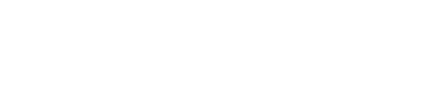 SolidWeb